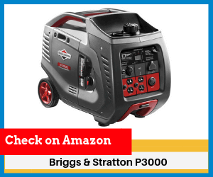 Briggs-&-Stratton-P3000