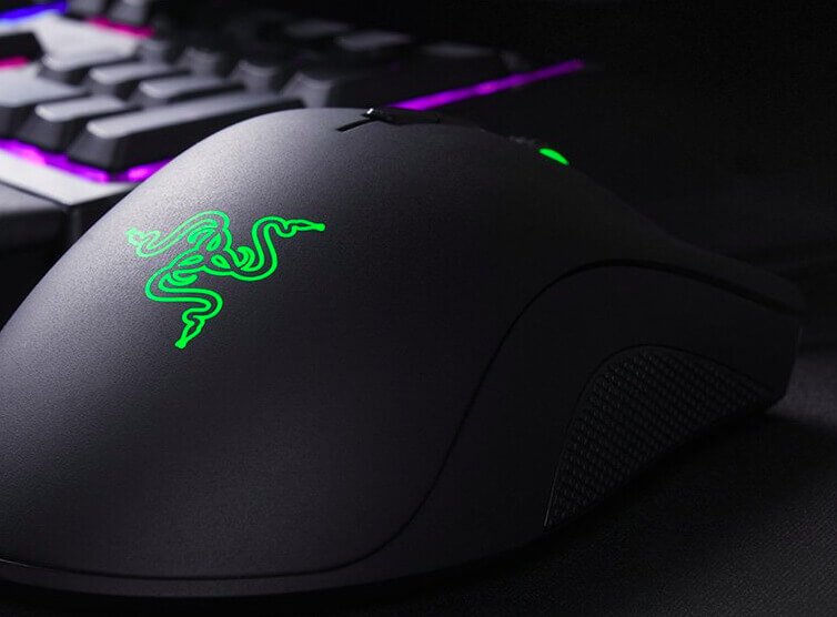 Razer-DeathAdder-Elite-Vs-Chroma-detailed-comparison