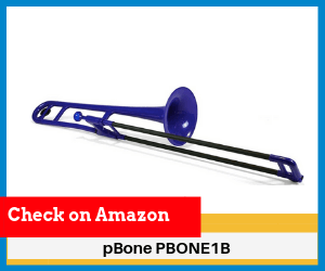 pBone-PBONE1B