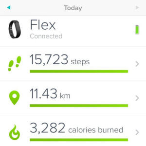 fitbit-badges