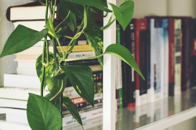 best-desktop-shelves-for-books-and-storage