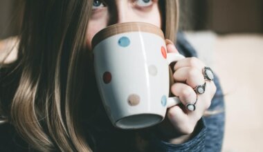 best-temperature-controlled-mug